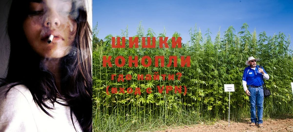 амф Балахна
