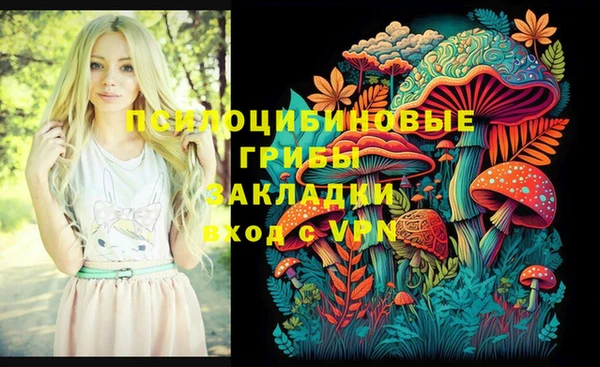 амф Балахна