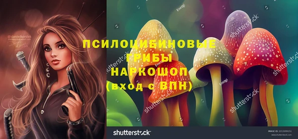 амф Балахна