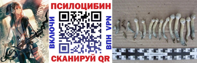 Галлюциногенные грибы мухоморы  как найти закладки  Заволжск 