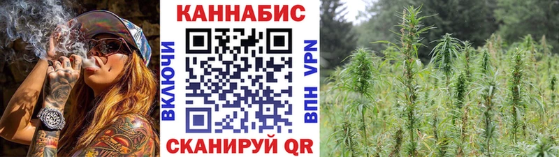продажа наркотиков  Заволжск  кракен как войти  Каннабис конопля 